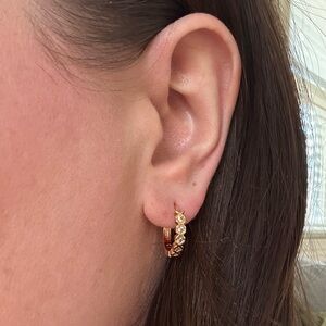 NEW Pretty Bird Jewelry | Rose Gold Hoops with White Stones - NWOT